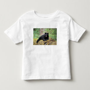 Zwarte beer op een oude boomstam in de kinder shirts
