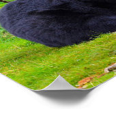 Zwarte Beer Poster (Hoek)