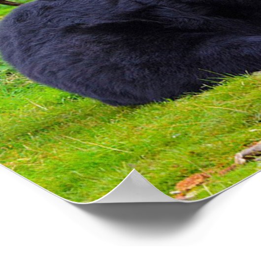 Zwarte Beer Poster (Hoek)