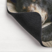 Zwarte beer slaapt onder een quilt muismat (Hoek)