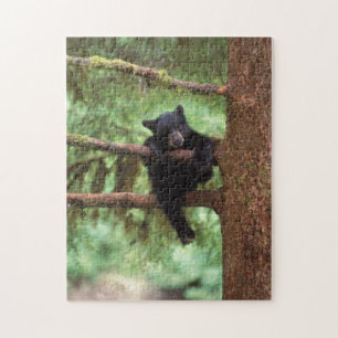 zwarte beer, Ursus americanus, jong dier in een bo Legpuzzel