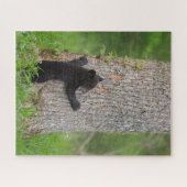 Zwarte beerwelp | Great Smoky Mountains Legpuzzel (Horizontaal)