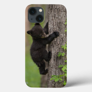 Zwarte beerwelp klimt in boom iPhone 13 hoesje