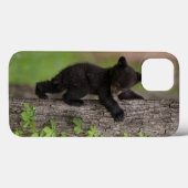 Zwarte beerwelp klimt in boom Case-Mate iPhone case (Achterkant (horizontaal))