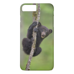Zwarte beerwelp speelt, Tennessee iPhone 8/7 Plus Hoesje