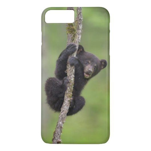 Zwarte beerwelp speelt, Tennessee Case-Mate iPhone Case (Achterkant)