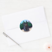 Zwarte Beren Cub Classic Classic Ronde Sticker (Envelop)