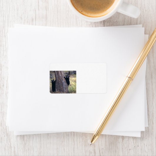 zwarte beren etiket (Insitu)