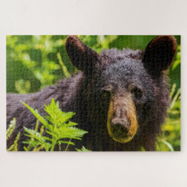 Zwarte beren. legpuzzel