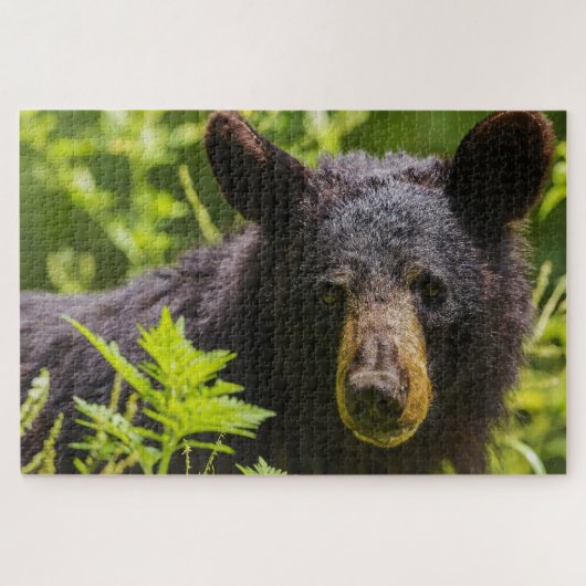 Zwarte Beren. Legpuzzel (Horizontaal)