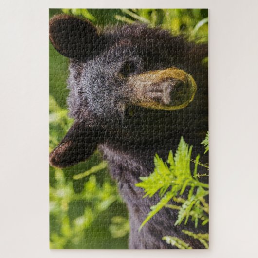Zwarte Beren. Legpuzzel (Verticaal)