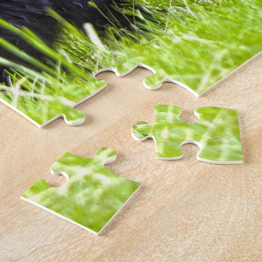 Zwarte Beren Montana. Legpuzzel (Zijkant)