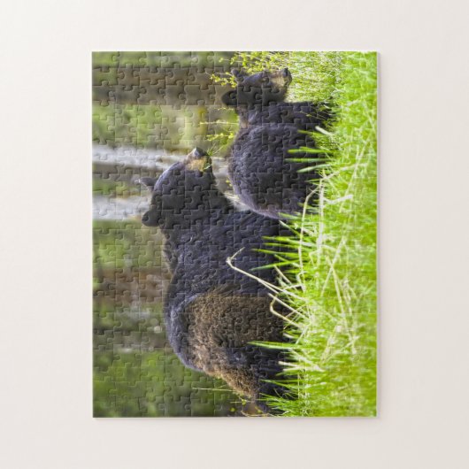 Zwarte Beren Montana. Legpuzzel (Verticaal)