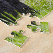 Zwarte Beren van Amerika. Legpuzzel (Zijkant)