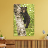Zwarte berenjong in boom canvas afdruk (Insitu (Woonkamer))