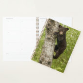 Zwarte berenjong in boom planner (Display)