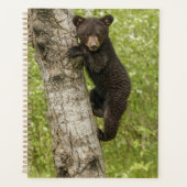 Zwarte berenjong in boom planner (Voorkant)