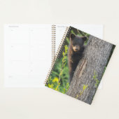 Zwarte berenjong in de lente planner (Display)