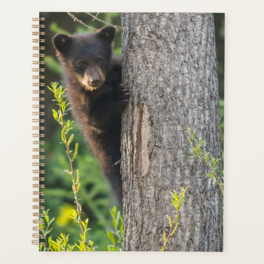 Zwarte berenjong in de lente planner (Voorkant)