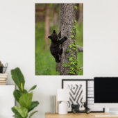 Zwarte berenjong klimt in boom poster (Thuiskantoor)