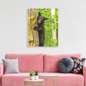 Zwarte berenjong | Minnesota Canvas Afdruk (Insitu (Woonkamer))