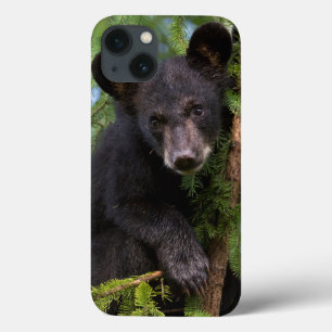 Zwarte berenjong speelt in bomen Case-Mate iPhone case