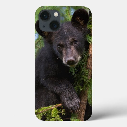 Zwarte berenjong speelt in bomen Case-Mate iPhone case (Achterkant)