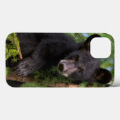 Zwarte berenjong speelt in bomen Case-Mate iPhone case (Achterkant (horizontaal))
