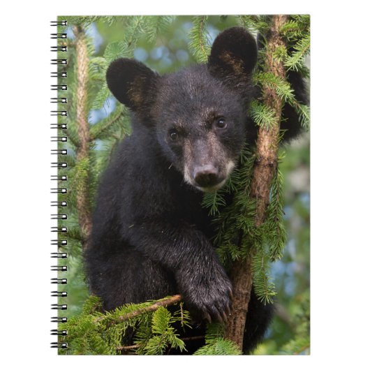 Zwarte berenjong speelt in bomen notitieboek (Voorkant)