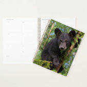 Zwarte berenjong speelt in bomen planner (Display)