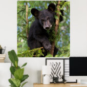 Zwarte berenjong speelt in bomen poster (Thuiskantoor)