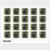 Zwarte berenjong speelt in bomen vierkante sticker (Vel)