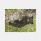 Zwarte berenwelp in boom fleece deken (Voorkant (Horizontaal))