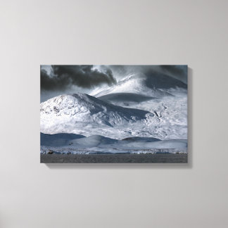 Zwarte berghert Rannoch Moor Canvas Afdruk