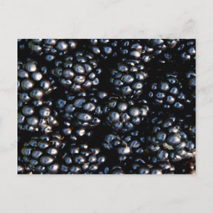 Zwarte bessen briefkaart