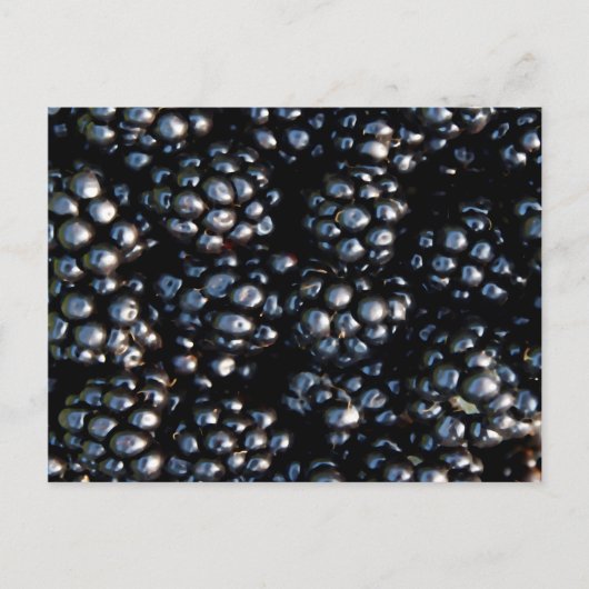 Zwarte bessen briefkaart (Voorkant)