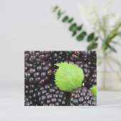 Zwarte bessen briefkaart (Staand voorkant)