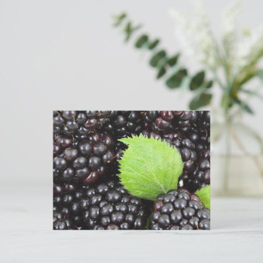Zwarte bessen briefkaart (Staand voorkant)