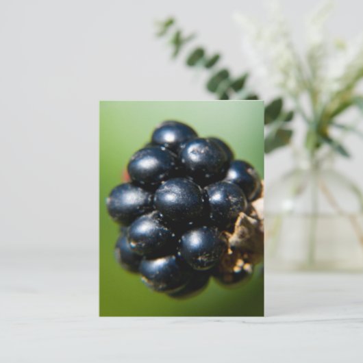 Zwarte bessen briefkaart (Staand voorkant)