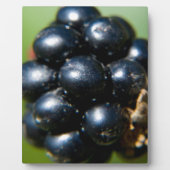 Zwarte bessen fotoplaat (Voorkant)