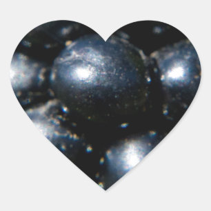 Zwarte bessen hart sticker
