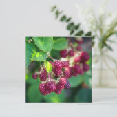 Zwarte bessen kaart (Staand voorkant)