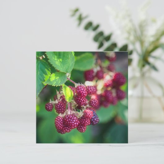Zwarte bessen kaart (Staand voorkant)