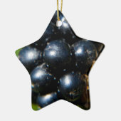 Zwarte bessen keramisch ornament (Links)