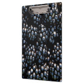 Zwarte bessen klembord (Links)