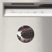 Zwarte bessen magneet (Insitu (Vaatwasser))