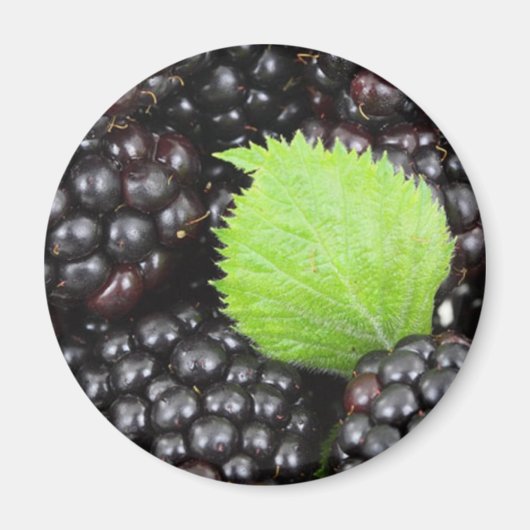 Zwarte bessen magneet (Voorkant)
