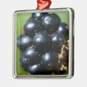 Zwarte bessen metalen ornament (Links)