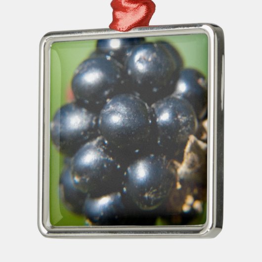 Zwarte bessen metalen ornament (Links)