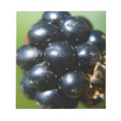 Zwarte bessen notitieblok (Voorkant)